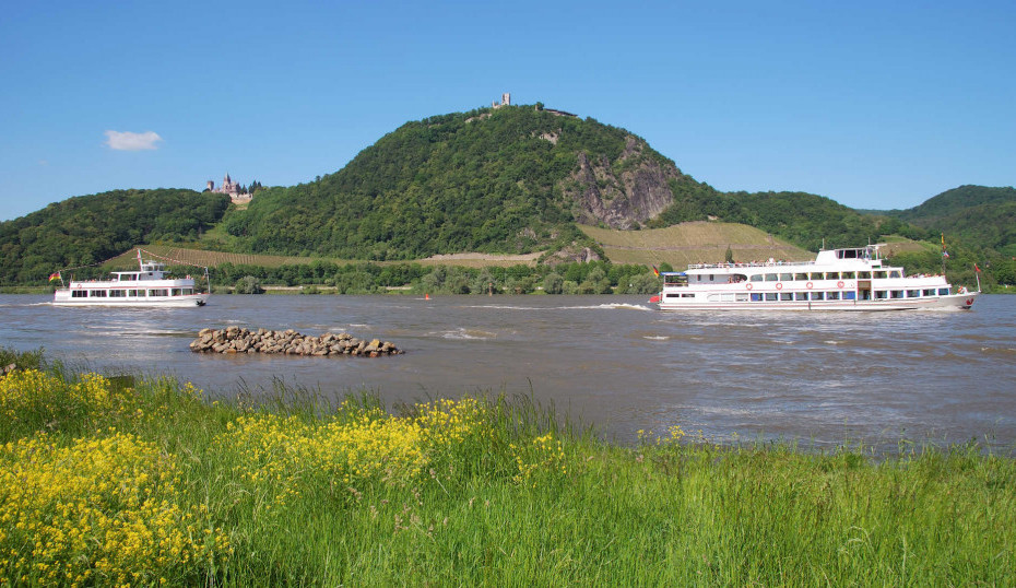 Schiffe auf dem Rhein